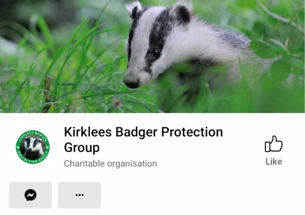 Kirklees Badger Protection Group Facebook Page