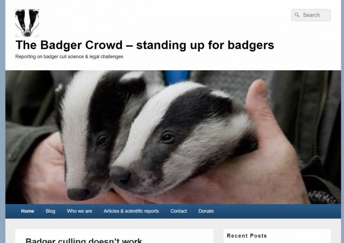 The Badger Crowd